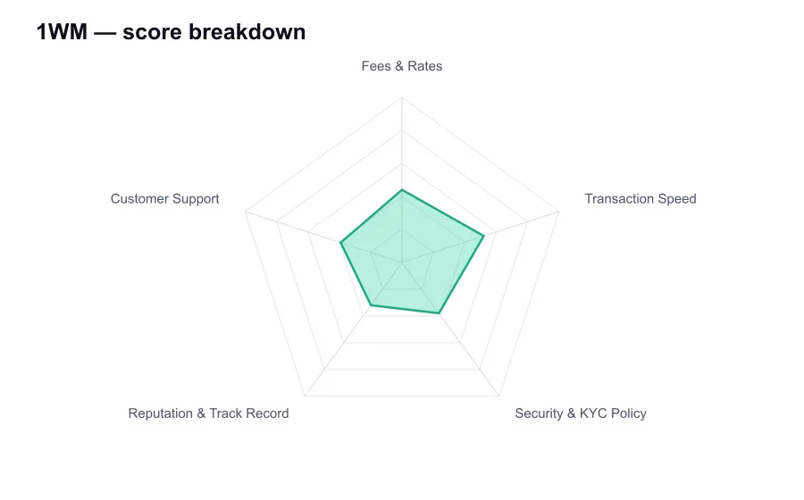 1WM score breakdown by criterion, shown as a radar chart